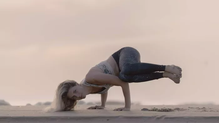 Zijwaartse kraanvogel